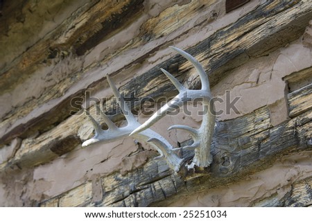 A set of deer antlers hanging on the side of a rustic cabin