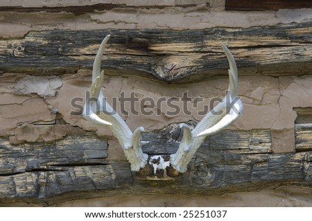 A set of deer antlers hanging on the side of a rustic cabin