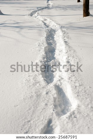 A path dug out on a snow covered sidewalk