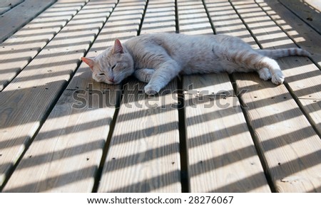 A cat relaxes in the shadow of a deck post