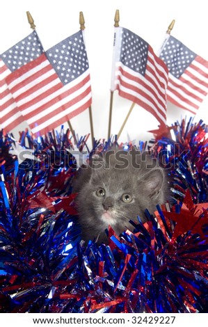 fourth of july decorations to make. Fourth of July decorations