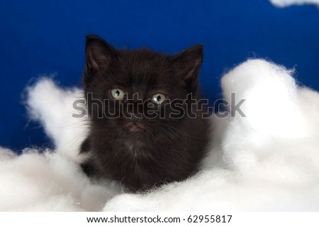 Black And White Clouds Background. stock photo : cute lack