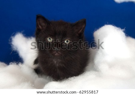 stock photo : cute lack Black And White Clouds Background. stock photo : cute lack
