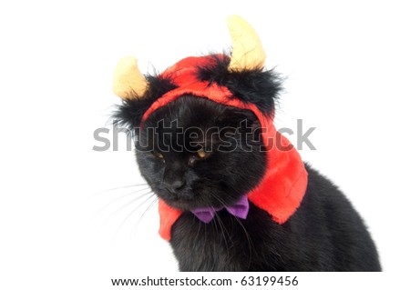Black cat wearing devil horn at for Halloween on white background