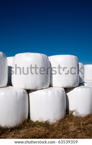 Stacks of hay bales wrapped in white plastic in a farm field with blue sky