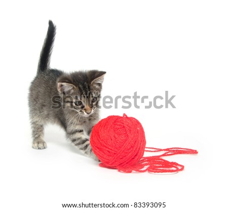Cute baby tabby cat playing with ball of red yarn on white background