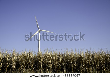 windmills from a wind farm and a cornfield in the midwest United States