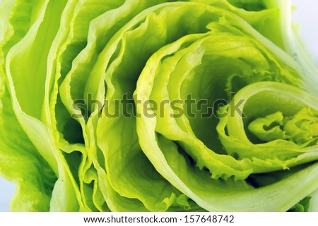 Fresh Green Iceberg lettuce .