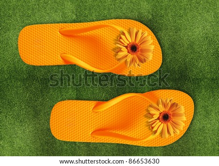 Colorful Flip Flops on green grass, summer back