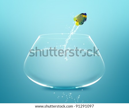 Angelfish jumping to other bowl, Good Concept for new love, new Opportunity and challenge concept.