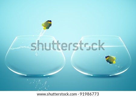 Angelfish jumping to other bowl, Good Concept for new love, new Opportunity and challenge concept.