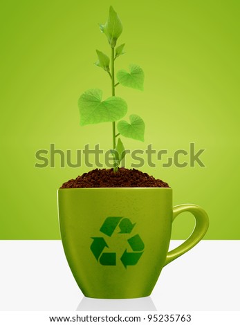 Young plant with heart shape leaves growing in green mug,with recycle sign.