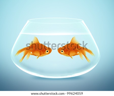 Two goldfish  in fishbowl falling in love, lose one\'s heart