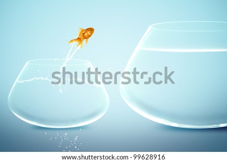 goldfish in small fishbowl watching goldfish jump into large fishbowl
