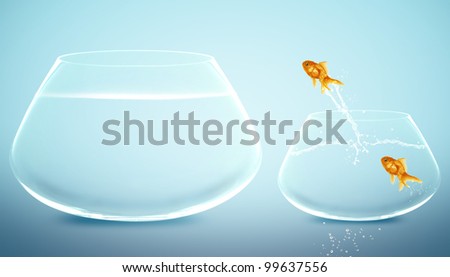 goldfish  jumping to Big bowl, Good Concept for new life, Big Opportunity, Ambition and challenge concept.