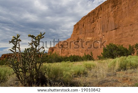 Red stone wall and cactus in the desert southwest