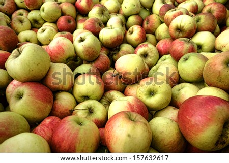 Fresh and natural freshly picked organic apples in bulk fruit display for sale at a local rural farmer market