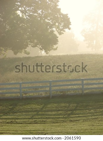 Meadow and hill in Fog with white fence and large tree