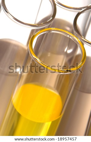 Laboratory glass test tubes filled with yellow liquid for an experiment in a science research lab