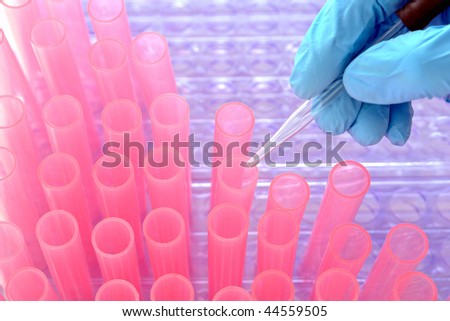 Scientist hand holding a laboratory glass pipette over pink plastic test tubes for an experiment in a science research lab
