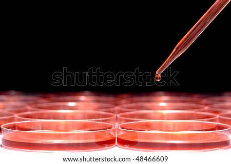 Laboratory pipette with drop of red liquid over Petri dishes filled with media for an experiment in a science research lab
