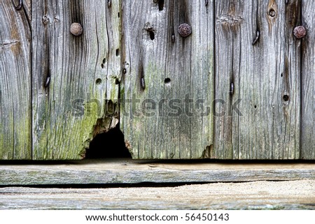 Mouse entrance and exit hole at the bottom of an antique barn wood wall on an old house