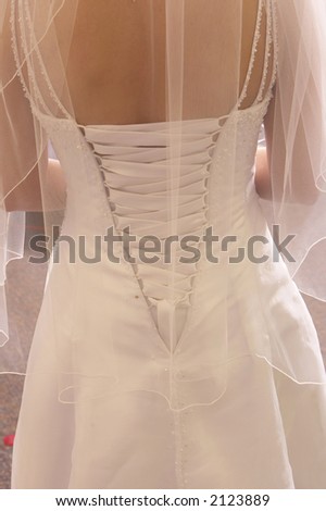 Closeup of the laces on the back of a brides wedding dress.  Photo shot thru veil.