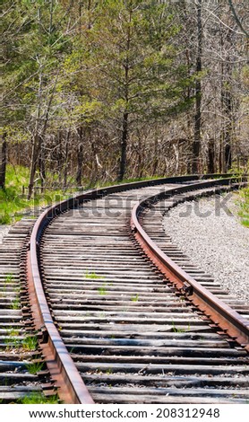 Train tracks curving right into trees.
