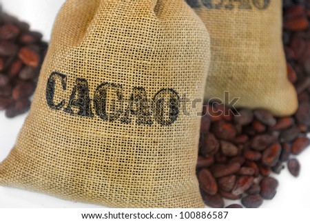 cacao beans in jut bag with inscription \