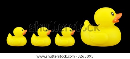 Rubber ducky family isolated on black.