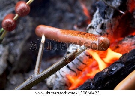 Roasting Hotdogs At The Beach In A Campfire.