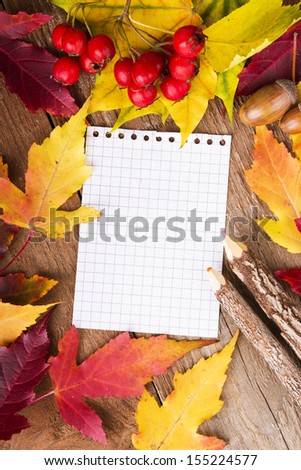 Colorful autumn template made of foliage and the piece of blank paper