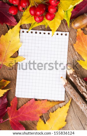 Colorful autumn template made of foliage and the piece of blank paper