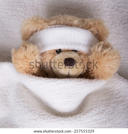 teddy bear with bandaged head