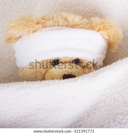 teddy bear with bandaged head