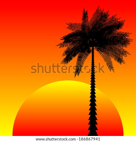 Landscape with palm trees at sunset - vector illustration.