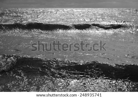 Baltic Sea. Black and white.