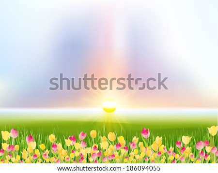 Blooming spring flowers tulips in the sunlight. And also includes EPS 10 vector