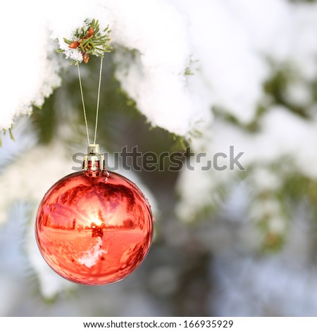 Christmas Red Ball on Christmas tree branch covered with Snow. Outside. Winter Sunny Day.