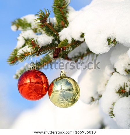Red and Gold Christmas Balls on Christmas tree branch covered with Snow. Outside. Winter Sunny Day.