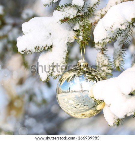 Christmas Gold Ball on Christmas tree branch covered with Snow. Outside. Winter Sunny Day.