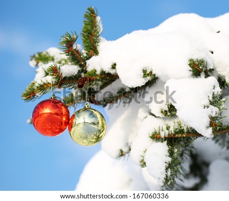 Red and Gold Christmas Balls on Christmas tree branch covered with Snow. Outside. Winter Sunny Day.
