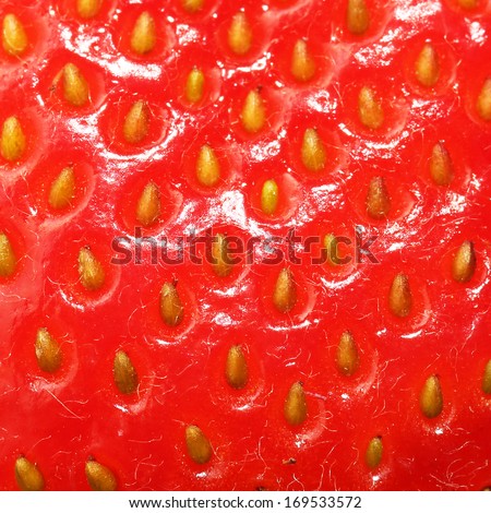 Strawberry Texture. Berry Background. Macro