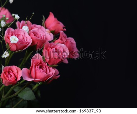 Bouquet of Pink Roses on black background.