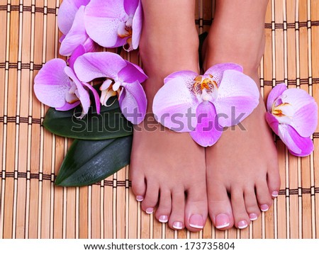 Pedicure with pink orchid flowers on bamboo mat. Beautiful female feet with french manicure. Foot care. Spa