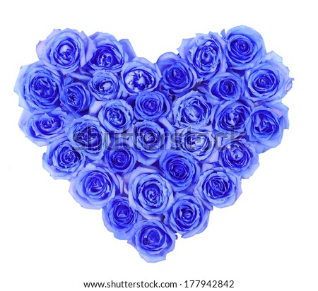 Blue roses in heart shape isolated isolated on white background