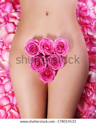 Pink Roses on woman\'s body over petals. Concept of Waxing Bikini Zone