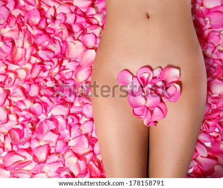 Petals of Pink Roses on woman\'s body. Concept of Waxing. Bikini Zone