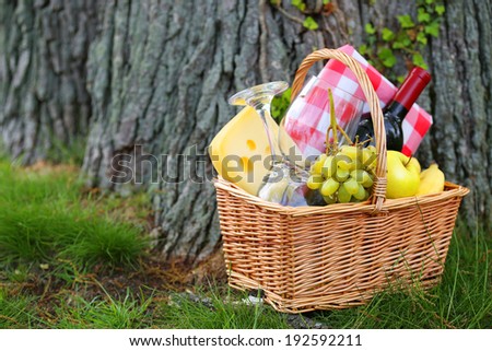Picnic basket with food near a tree