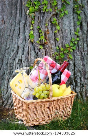 Picnic basket with food and tree with ivy
